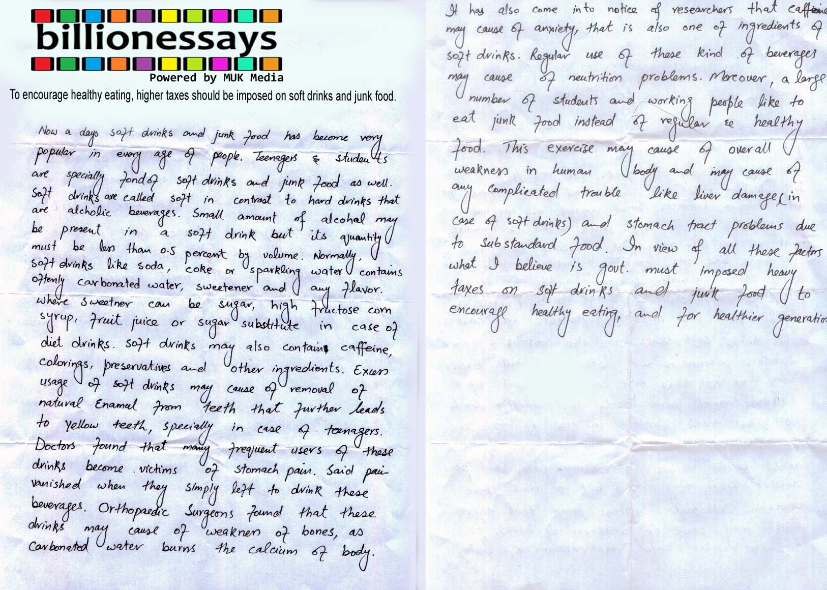 fast food problems essay